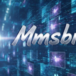 MMSBRE Explained: A Comprehensive Guide for Entrepreneurs